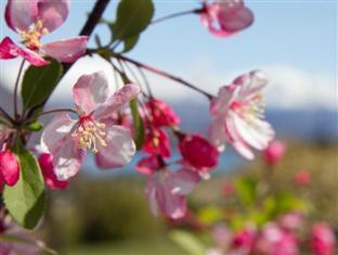 Tin Tub Luxury Lodge Wanaka Bagian luar foto